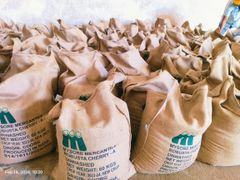 ROBUSTA CHERRY AA Scr 18 Origin India Packing 60 Kgs (net) Place of Origin INDIA Max. Moisture (%) 12.75% Packaging Details 60 KGS NET IN NEW JUTE BAG - Image 3